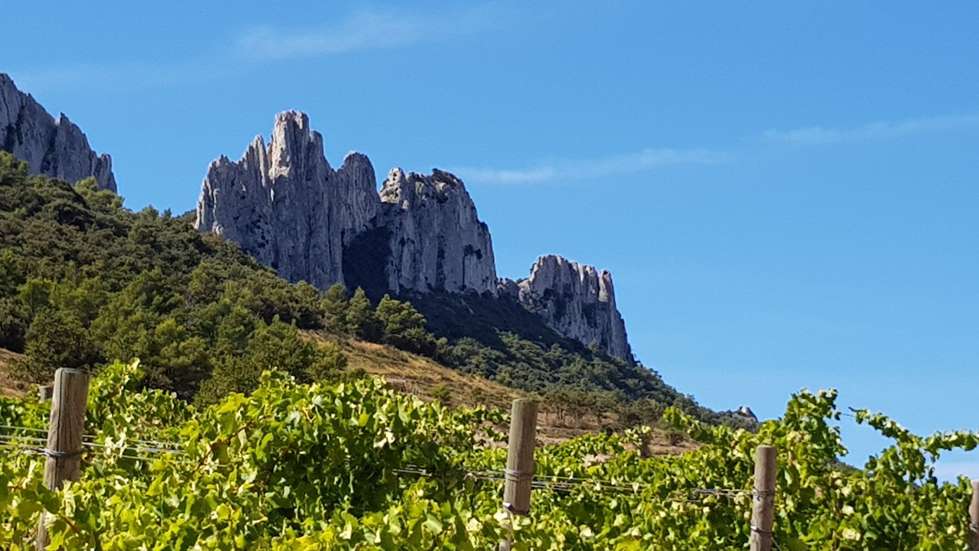 Les Dentelles de Montmirail
