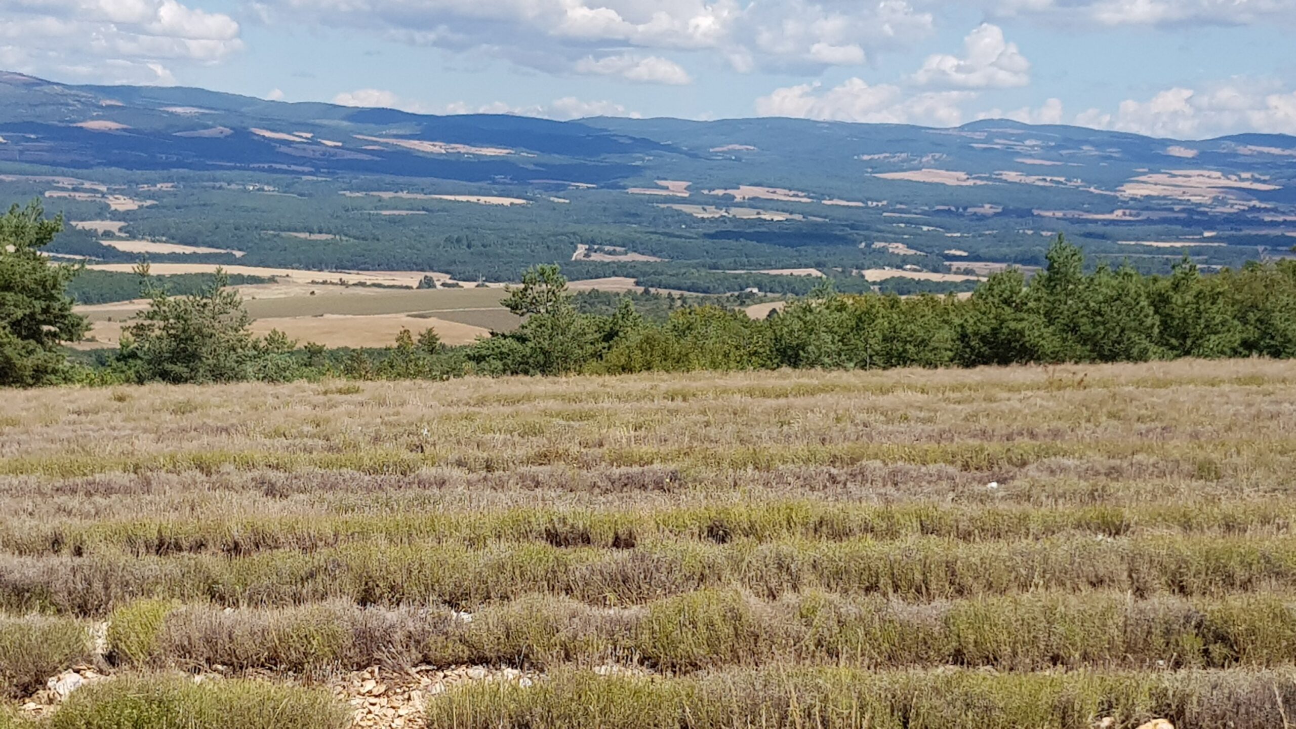 Radtour – Plateau von Sault