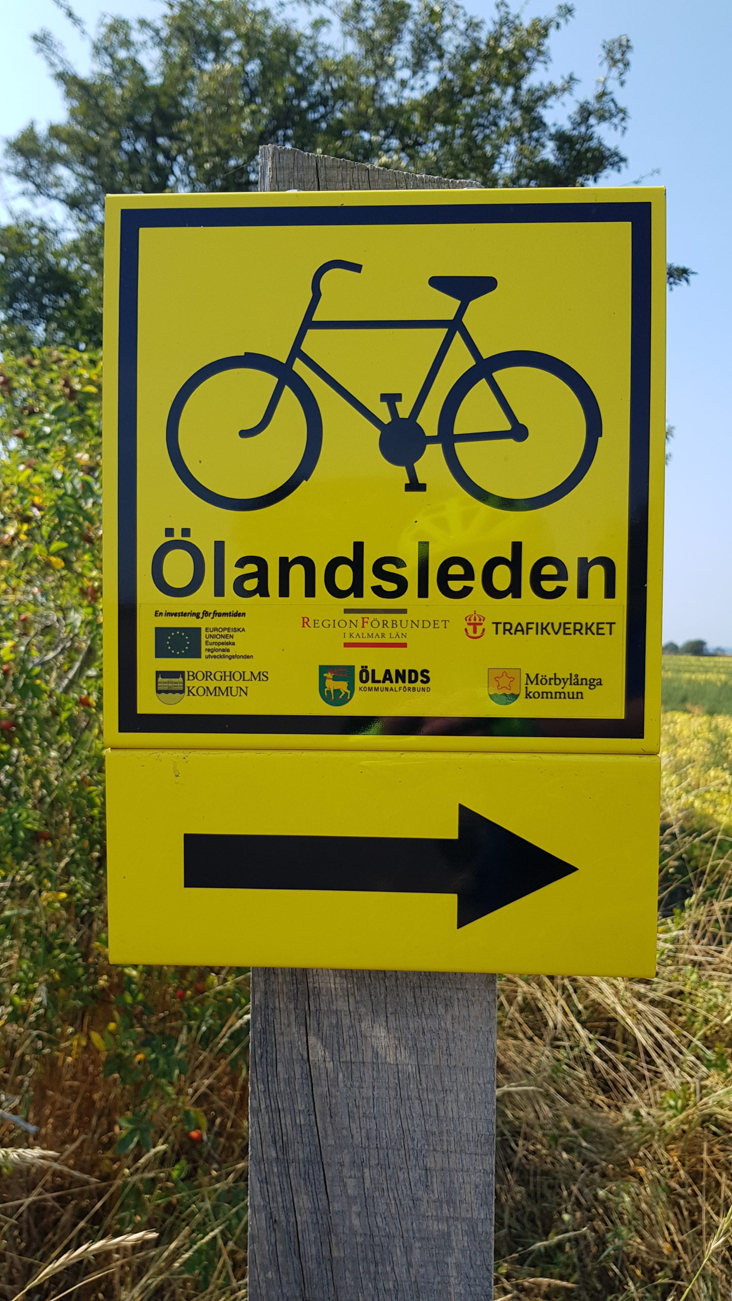 Die Südspitze von Öland