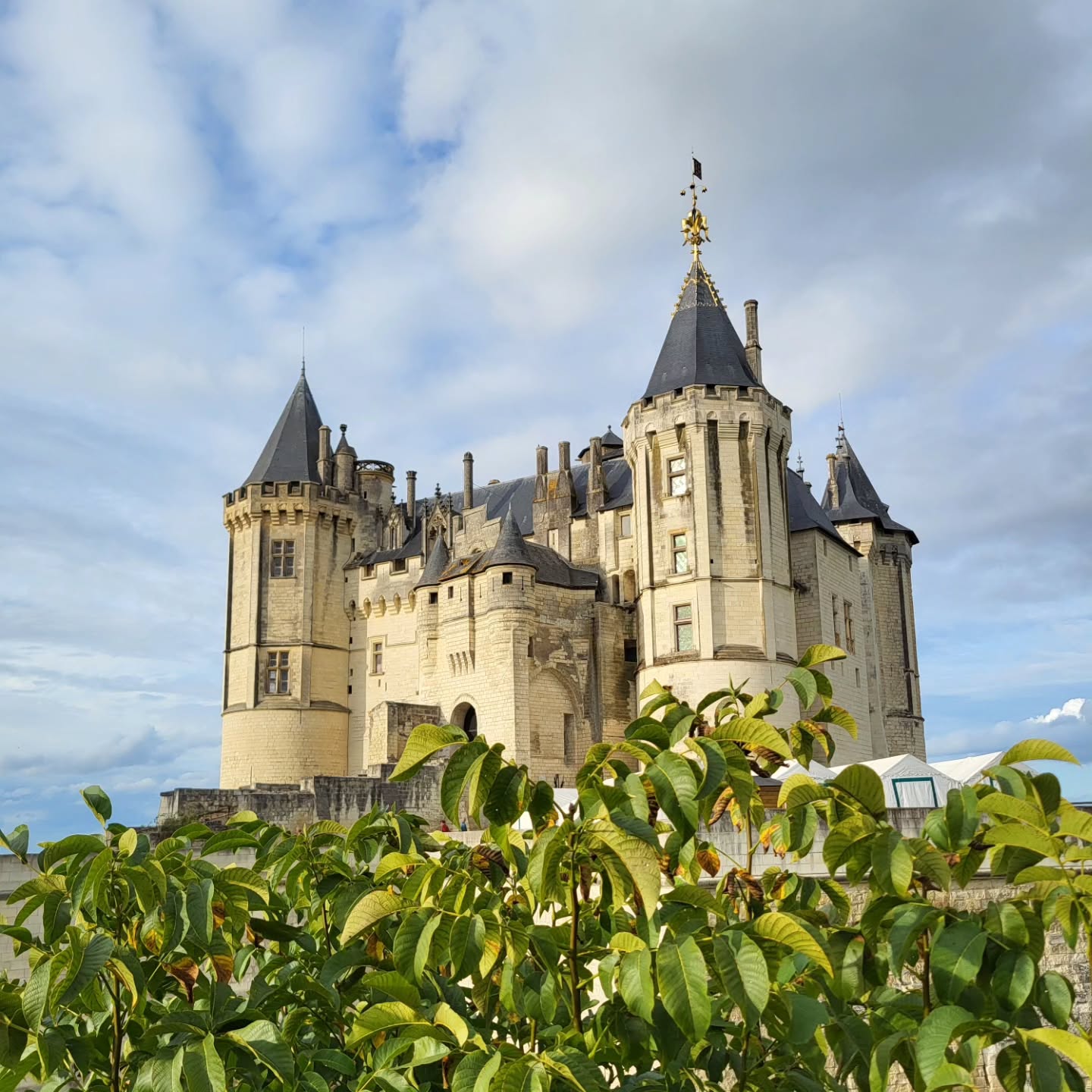 Etappe 12 – Savonnières – Saumur