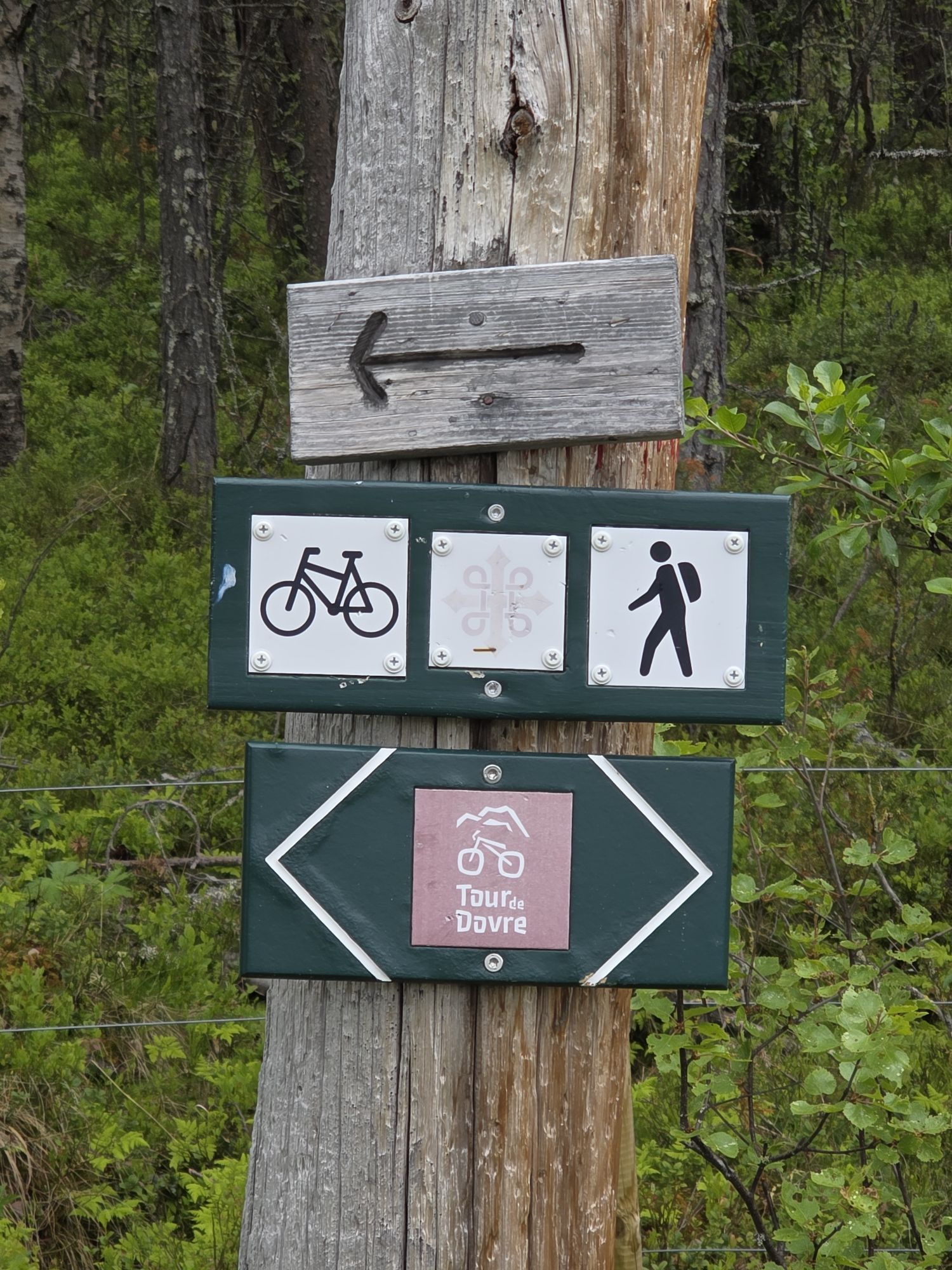 Tag 24 – Von Dovreskogen Camping nach Oppdal