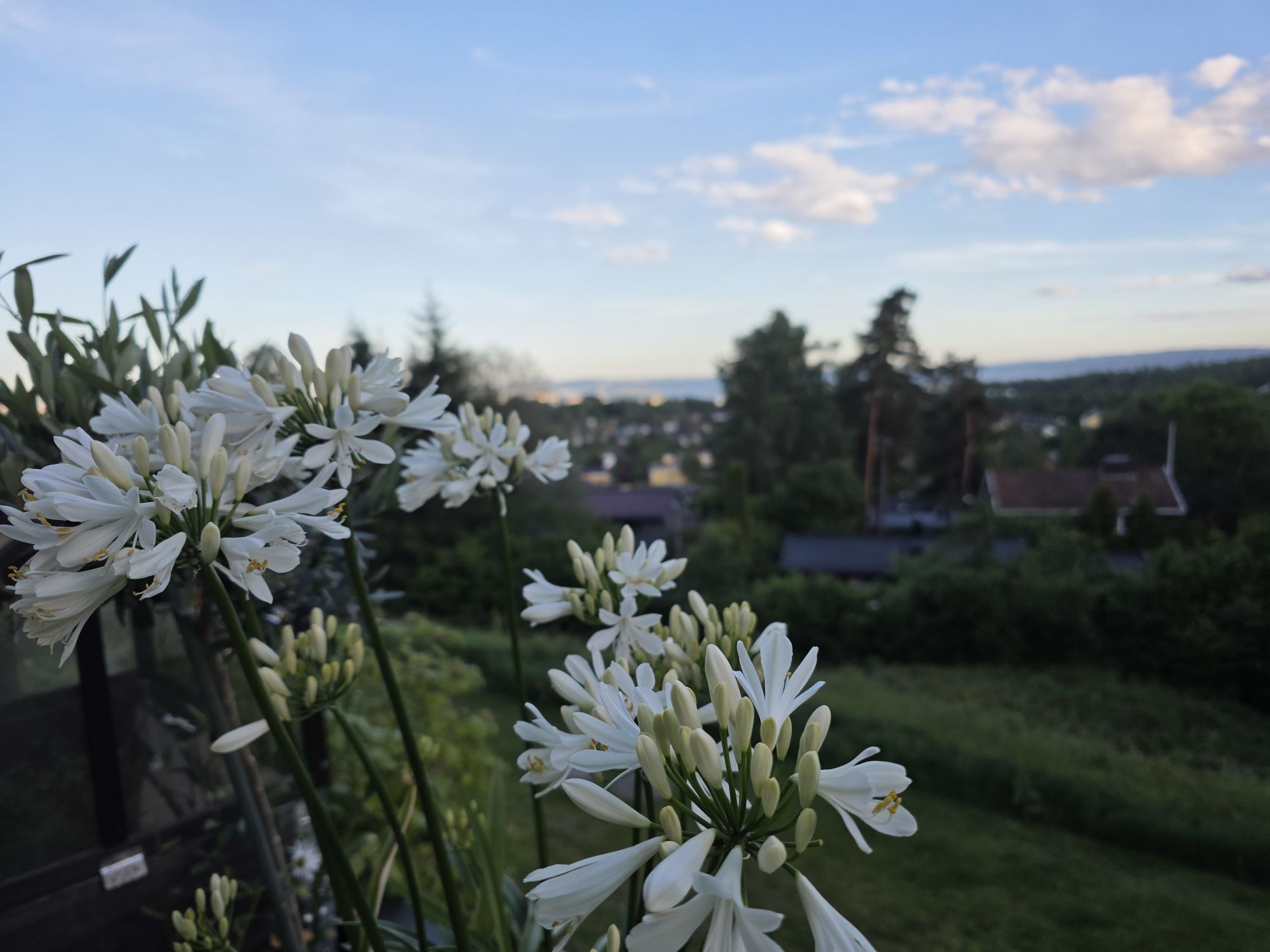 Tag 17 – Immer noch in Oslo