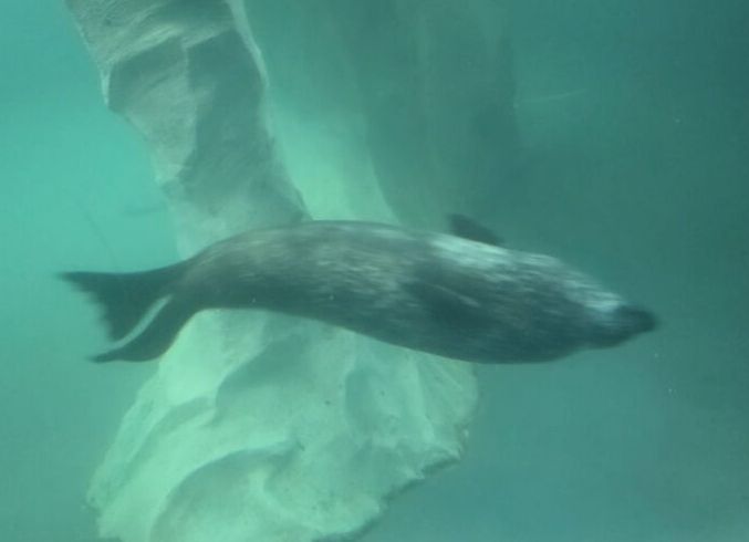 Tag 48 & 49 – Tromsø Tag #3 und Hurtigruten